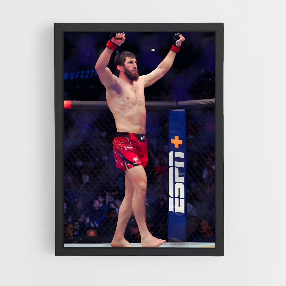 Poster Magomed ankalaev relever – affiche MMA (vue 2)